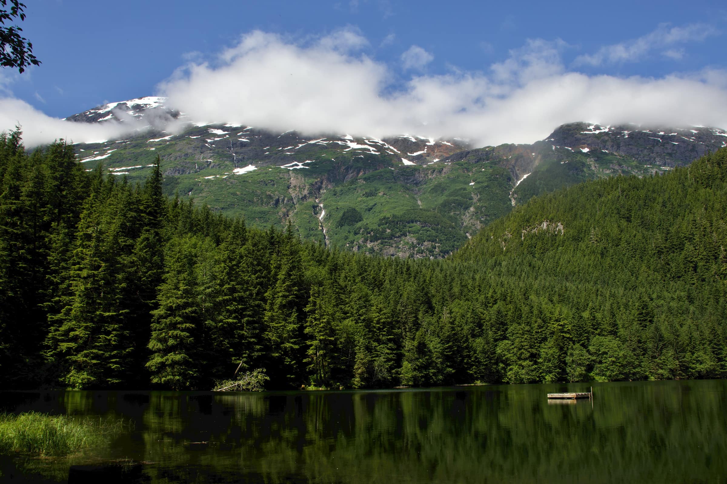 Snow-capped mountains rising above a dense conifer forest and a still lake in British Columbia.